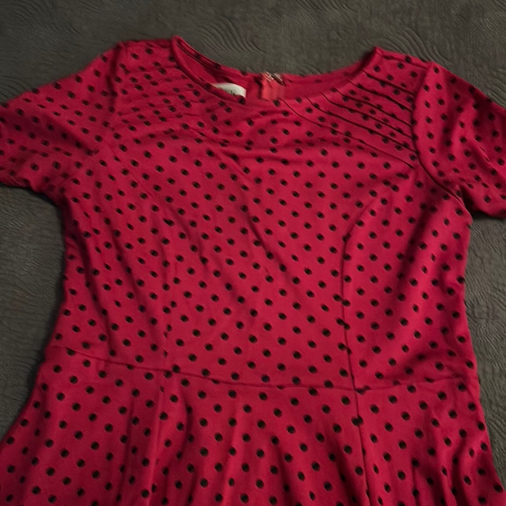 Raspberry with black polka dot skater dress